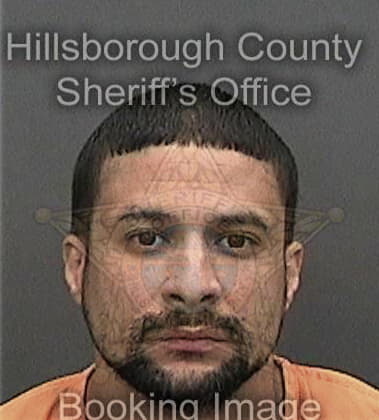 Michael Harris, - Hillsborough County, FL 