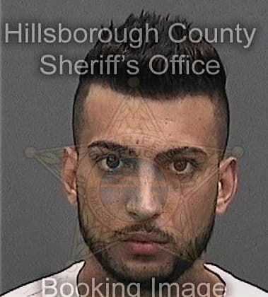 Alexander Locicero, - Hillsborough County, FL 