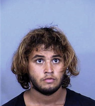 Ronald Stoner - Maricopa County, AZ 