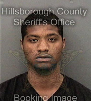 Theodore Williams, - Hillsborough County, FL 