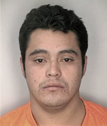 Jeffrey Bowman - Hillsborough County, FL 