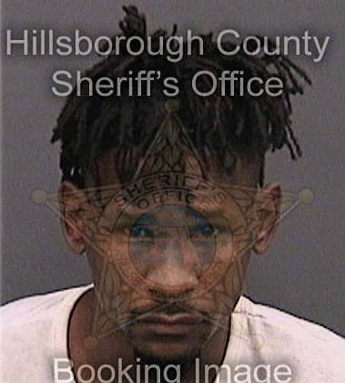 Ricardo Brown, - Hillsborough County, FL 