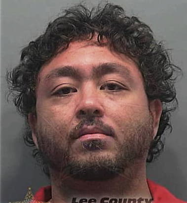 Tuan Nguyen, - Lee County, FL 