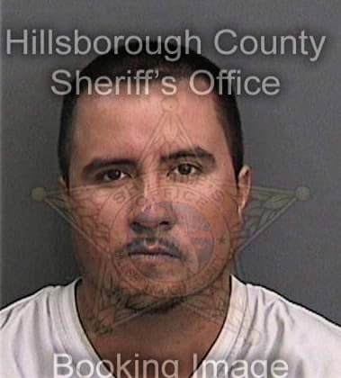 Anthony Springsteel, - Hillsborough County, FL 