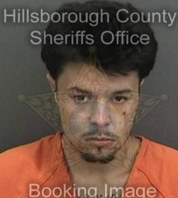 Juan Colon, - Hillsborough County, FL 