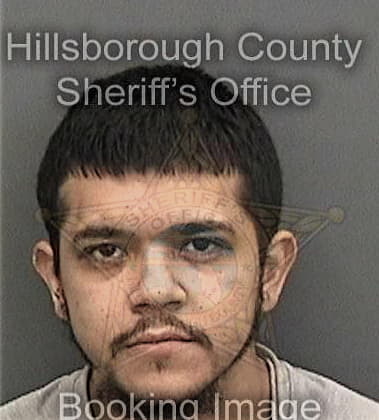 Leonard Crespomartinez, - Hillsborough County, FL 