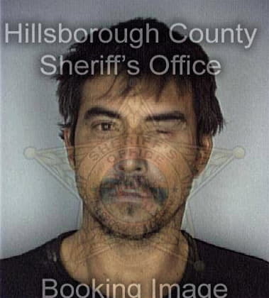 Michael Irwin, - Hillsborough County, FL 