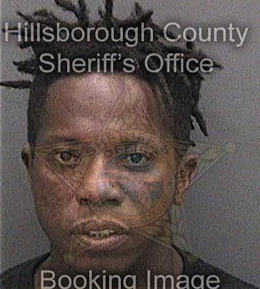 Janmichael Johnson, - Hillsborough County, FL 