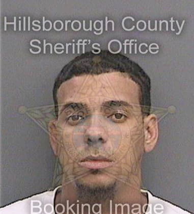 Christopher Ringley, - Hillsborough County, FL 