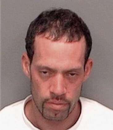 Daniel Simpson - Pinellas County, FL 