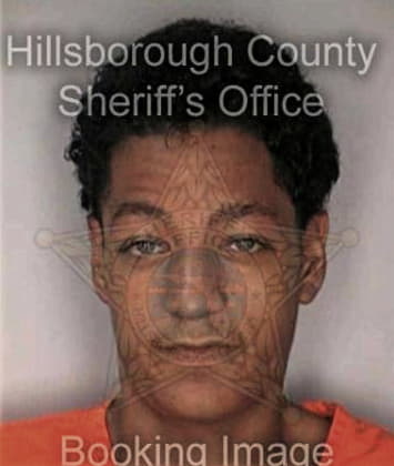 Jorge Tepetate, - Hillsborough County, FL 