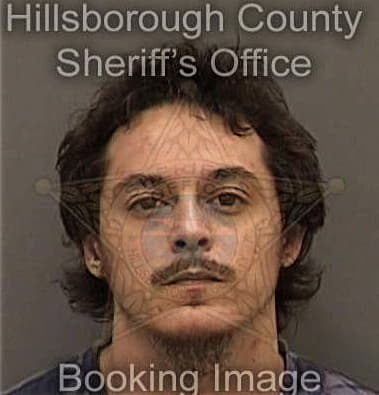 Thomas Beresheim, - Hillsborough County, FL 