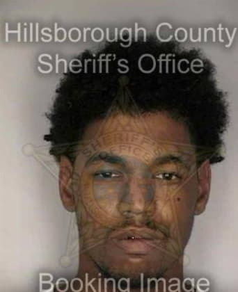 Michael Brown, - Hillsborough County, FL 