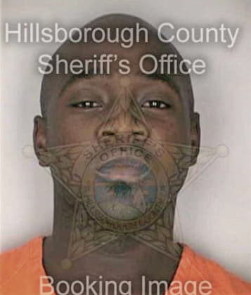 Demetrious Johnson, - Hillsborough County, FL 