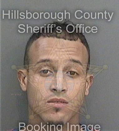 Louis Pumarejo, - Hillsborough County, FL 