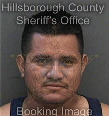 Luis Coronado, - Hillsborough County, FL 