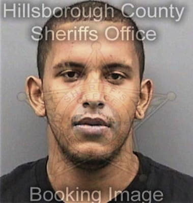 Gabriel McIver - Hillsborough County, FL 