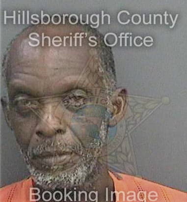 Demetrius Palmer, - Hillsborough County, FL 