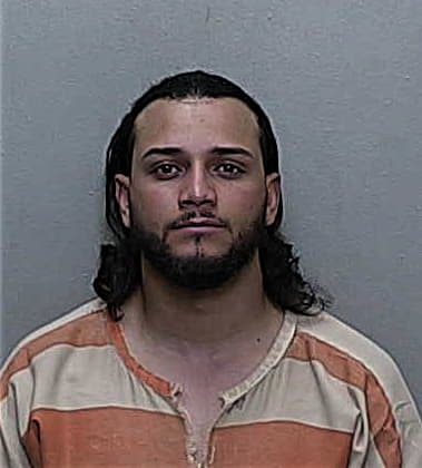 Michael Ferioli, - Marion County, FL 