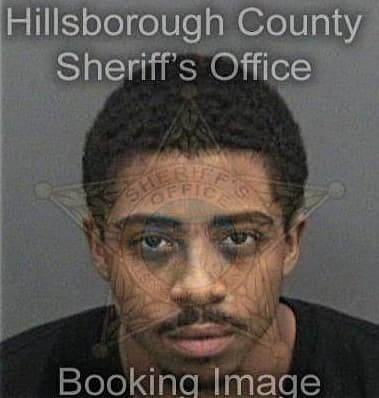 Terrance Ford, - Hillsborough County, FL 