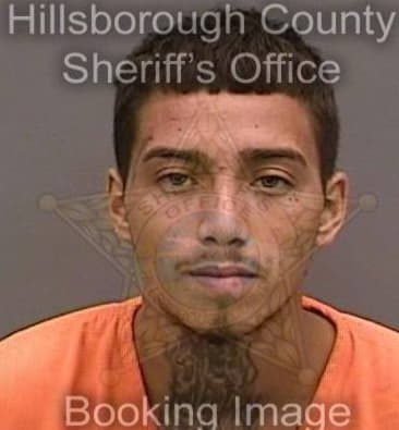 Sean Jackson, - Hillsborough County, FL 