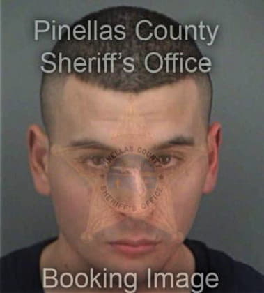 Anthony Lofrisco, - Pinellas County, FL 