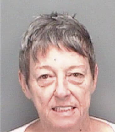 Mary McCarthy - Pinellas County, FL 