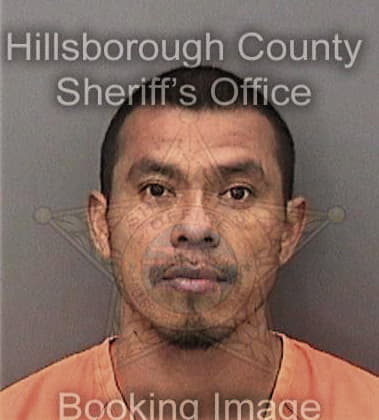 Robert Palko, - Hillsborough County, FL 