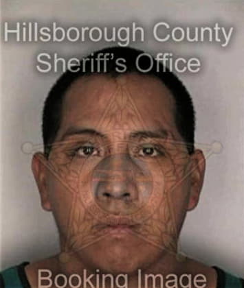 Anibal Torres, - Hillsborough County, FL 