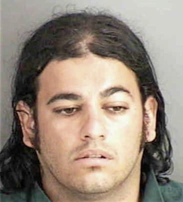 Jesus Torrezgonzalez, - Collier County, FL 