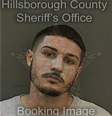 Domingo Tovar-Loero, - Hillsborough County, FL 