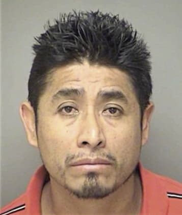 Miguel Alcocer, - Denton County, TX 