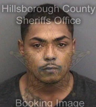 Michael Brown, - Hillsborough County, FL 