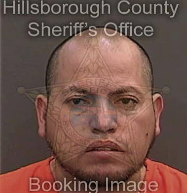 Felix Castro-Santiago, - Hillsborough County, FL 