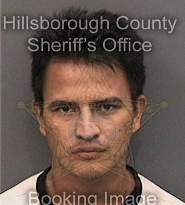 Robert Chyle - Hillsborough County, FL 