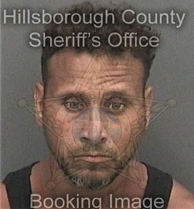 Ari Gaviriafigueroa, - Hillsborough County, FL 