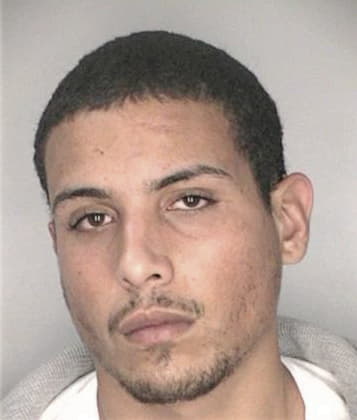 Juan Gonzalezmendoza - Hillsborough County, FL 