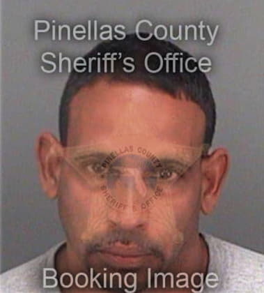 Mark Herriges, - Pinellas County, FL 