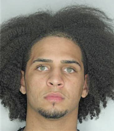 Reynaldo Medero - Hillsborough County, FL 
