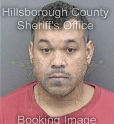 Yasmanny Rodriguez, - Hillsborough County, FL 