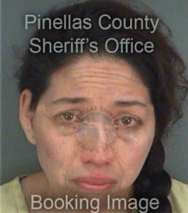 Joan Santana, - Pinellas County, FL 