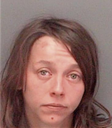 Ann Stafford - Pinellas County, FL 