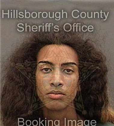 Jon Bolduc - Hillsborough County, FL 