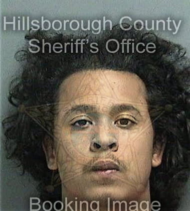 Michael Brazer - Hillsborough County, FL 