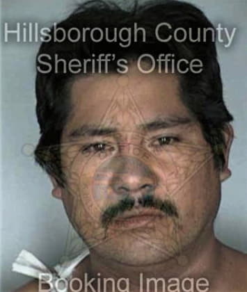 Segundo Cruzcastro, - Hillsborough County, FL 