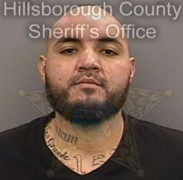 John Ellington, - Hillsborough County, FL 