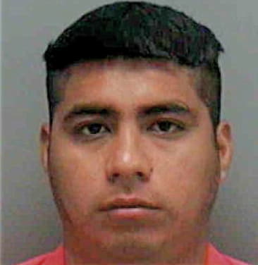 Irving Estrada, - Lee County, FL 