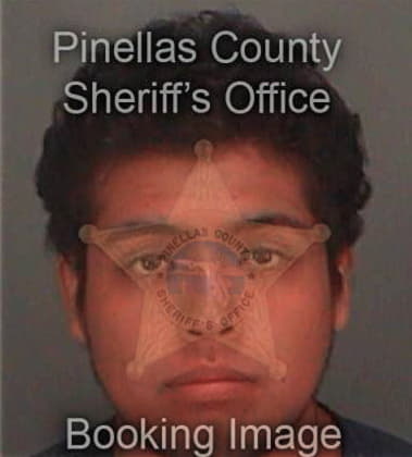 Miguel Haisten, - Pinellas County, FL 