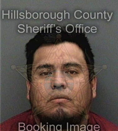 Carlos Torres, - Hillsborough County, FL 