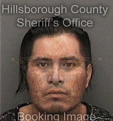 Jason Armillei, - Hillsborough County, FL 